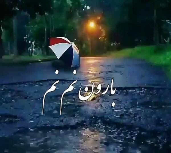 عکس بارانی زیبا جدید
