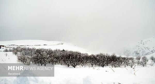 عکس برف روستایی