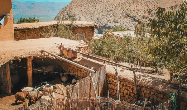 عکس برف روستایی