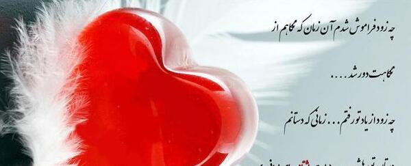 عکس نوشته قلب خواهرها به عشق برادرشان می تپد