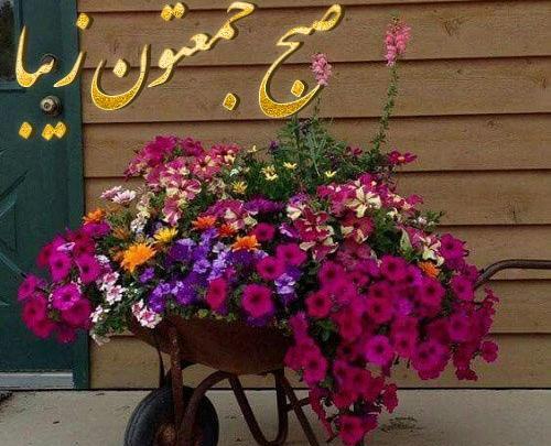 عکس شب جمعه تون بخیر