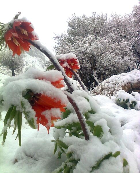 عکس جاده شیراز