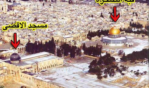 صبا آسمونی عکس