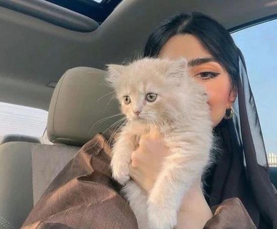 عکس گربه و دختر برای پروفایل