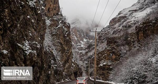 عکس گل نرگس کنار دریا