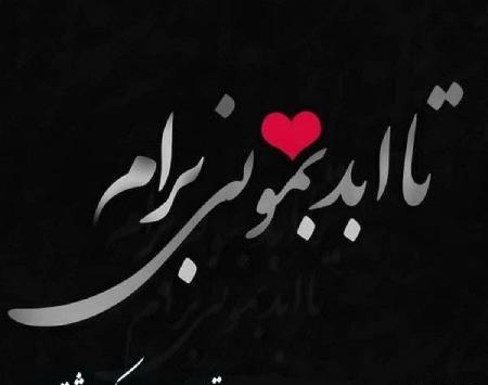 عکس نوشته تولد همسرم حمید