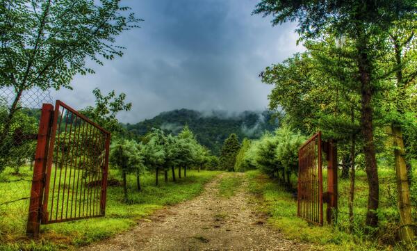 عکسی از طبیعت ایران