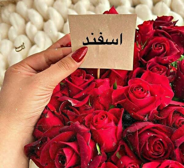عکس روز تولد اسفند ماهی