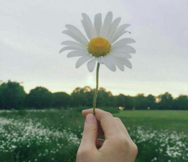 عکس برای پروفایل واتساپ بهاری