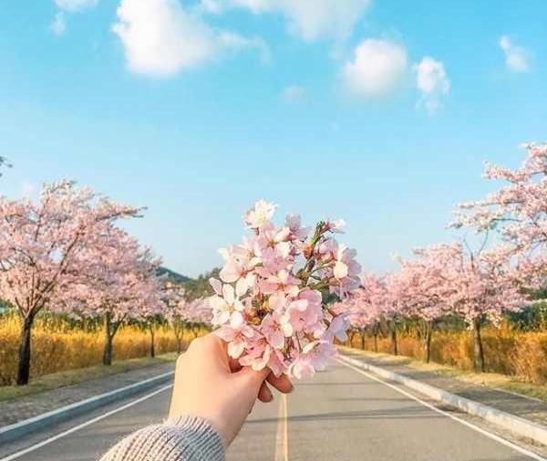 عکس برای پروفایل واتساپ بهاری