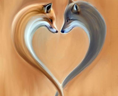 عکس روباه عاشقانه