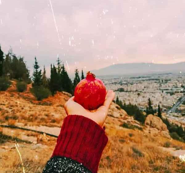 عکس یلدا خانواده