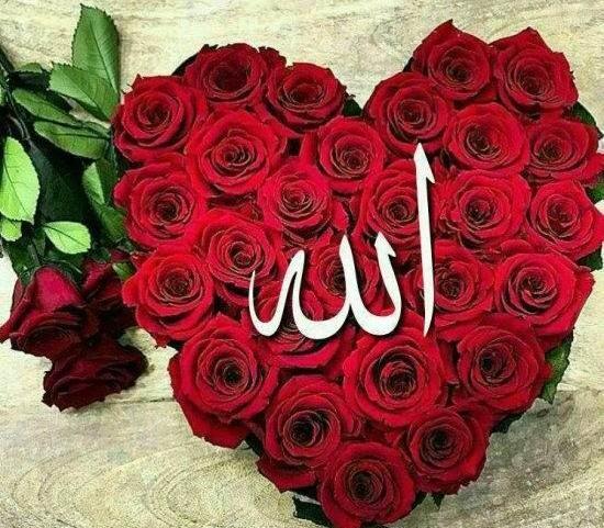 عکس نوشته خدا همراه با گل