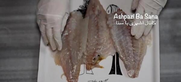 عکس ماهی سلیمانی