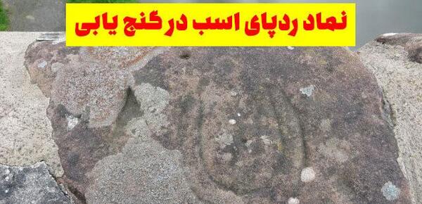 عکس سم اسب