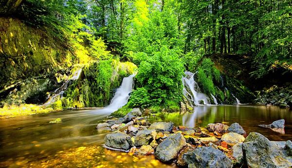 عکس نوشته حفظ طبیعت