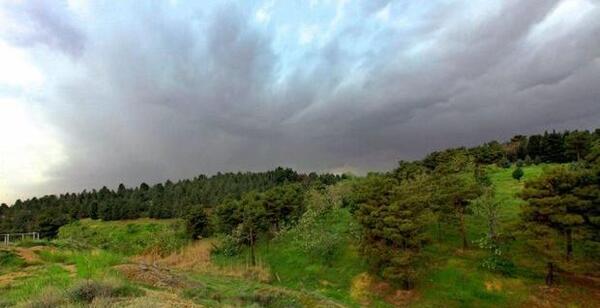 عکس نوشته حفظ طبیعت