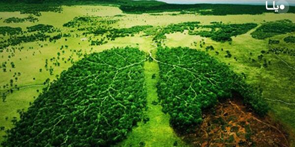 عکس نوشته حفظ طبیعت
