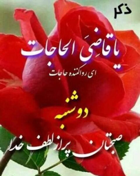 عکس صبح بخیر آقاییم