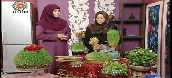 عکس سبزه گندم با خوشه