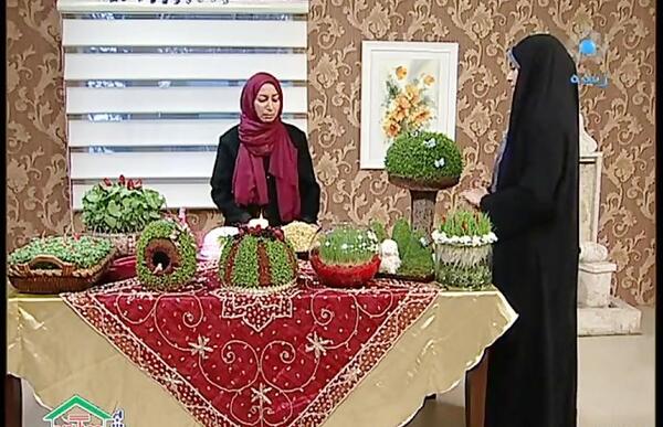 عکس سبزه گندم با خوشه