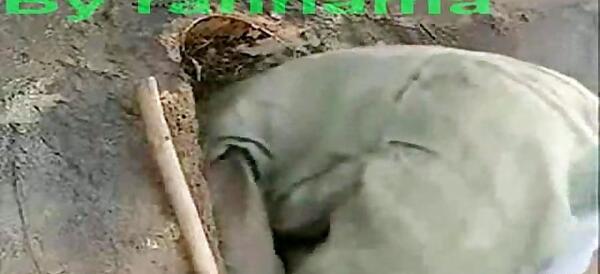 عکس پیری سونگ ایل گوک
