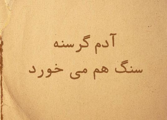 عکس ضرب المثل آدم گرسنه سنگ راهم میخورد