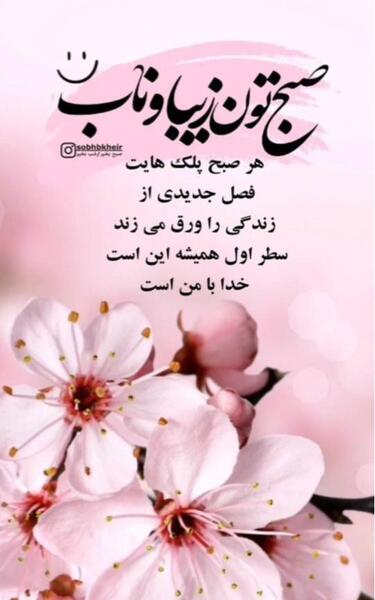 عکس ظهر دوشنبه تون بخیر