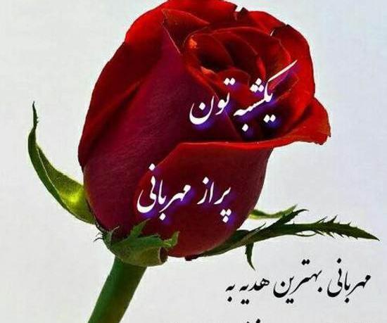 عکس روز یکشنبه