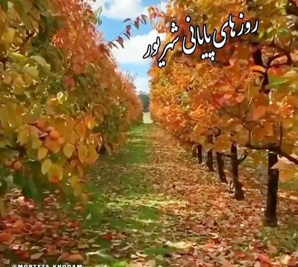 عکس استوری پاییز مبارک