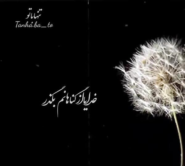 عکس نوشته سینا درخشنده
