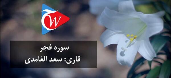 سوره فجر کامل عکس