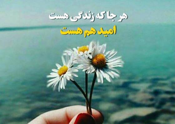عکس نوشته چینی با ترجمه