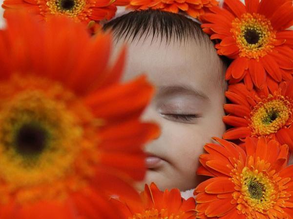 عکس بهاری نوزاد