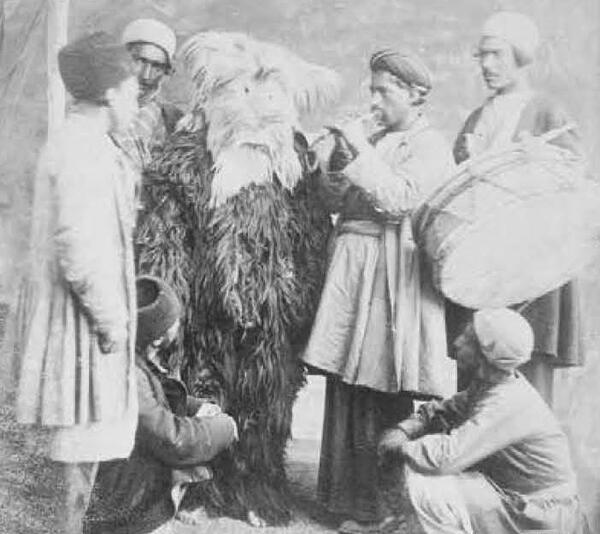 عکس ملکه آتشی