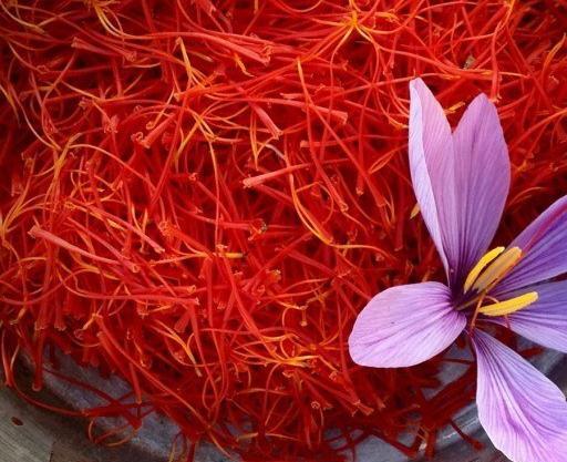 عکس زعفران خراسان رضوی