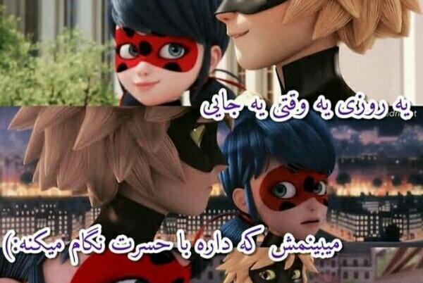 عکس کت نوار و لیدی باگ