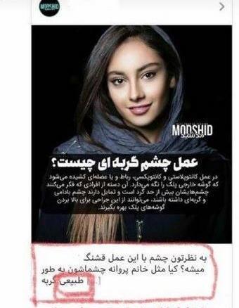 عکس ترلان پروانه و دوست پسرش