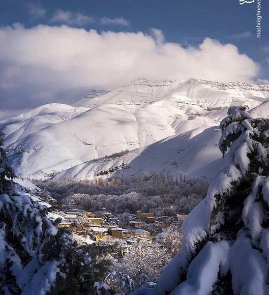 عکس نیسان نارنجی