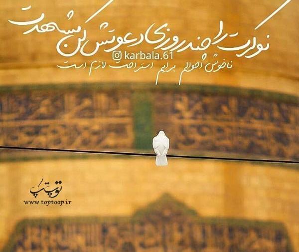 عکس نوشته دلتنگ امام رضا بودن