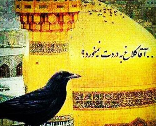 عکس نوشته دلتنگ امام رضا بودن