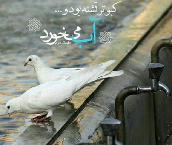 عکس نوشته دلتنگ امام رضا بودن