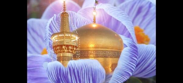 عکس حرم ضریح امام رضا