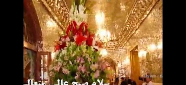 عکس حرم ضریح امام رضا