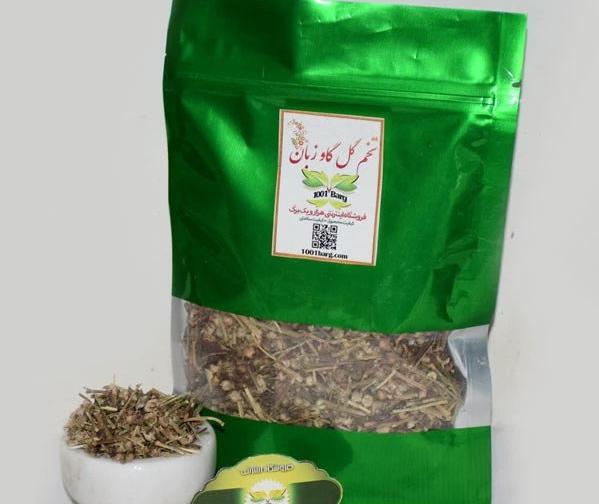 عکس گاوزبان