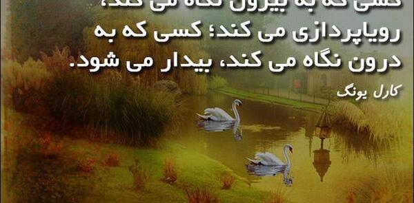 عکس جملات انگیزشی یونگ