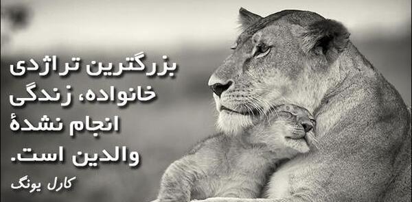 عکس جملات انگیزشی یونگ