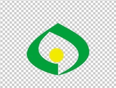 عکس لوگو شتاب png