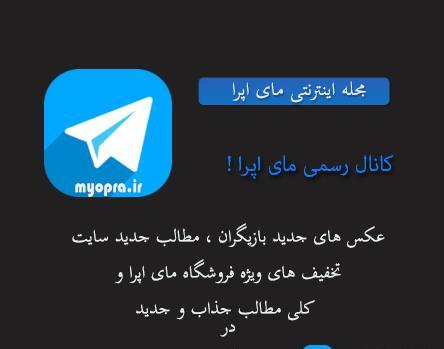 عکس یک کیف پول