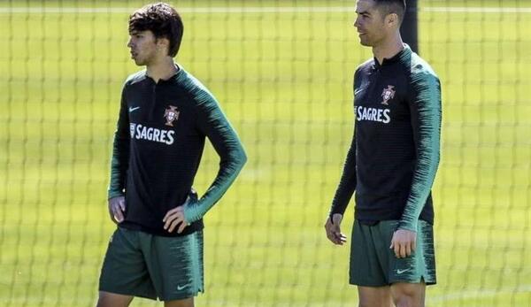 عکس جو فلیکس